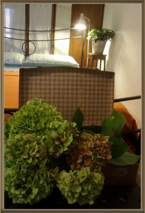 Bed and Breakfast Cuntro' Granda Boves Экстерьер фото